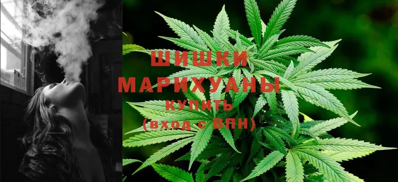 МАРИХУАНА SATIVA & INDICA  Велиж 